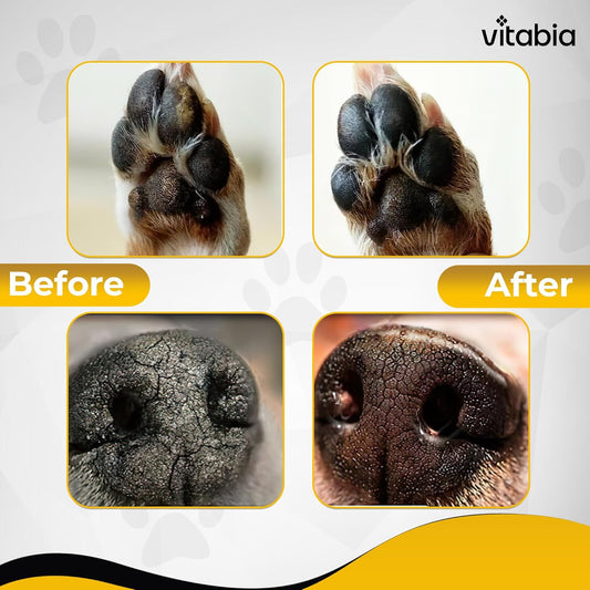 Paw & Nose Balm for Dogs & Cats – Itchy Skin & Dryness Relief