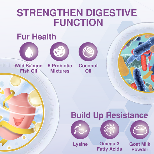 Probiotic Cat Treats – Digestive, Anal Gland & Skin Support