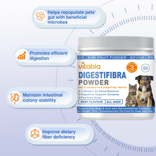 DigestiFibra Powder for Dogs & Cats – Natural Fibre Powder Supplement for Gut Health, Anal Glands & Scooting Relief – Prebiotic & Probiotic Digestive Treats – Fibre Supplement for Dogs & Cats
