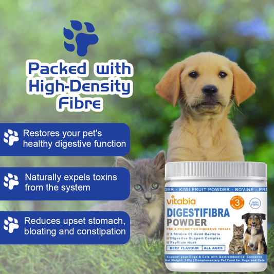 DigestiFibra Powder for Dogs & Cats – Natural Fibre Powder Supplement for Gut Health, Anal Glands & Scooting Relief – Prebiotic & Probiotic Digestive Treats – Fibre Supplement for Dogs & Cats