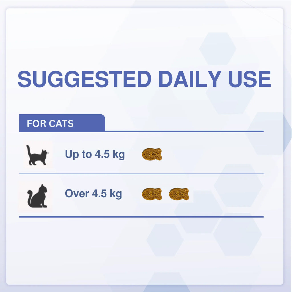 DigestiFibra Probiotics for Cats – Digestive Fibre Chews with Pumpkin & Prebiotics for Gut Health & Anal Gland Support | Vitabia UK