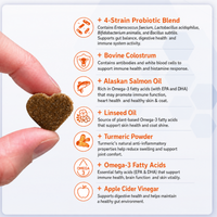 Dog Skin and Coat Support Chews – Omega 3 & Salmon Oil for Healthy Coat | Vitabia UK