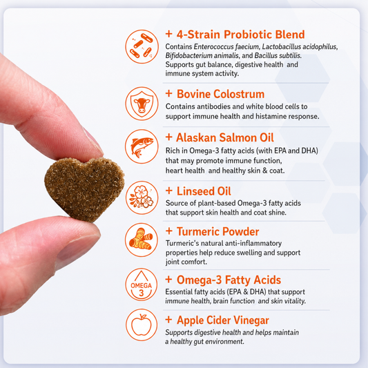 Dog Skin and Coat Support Chews – Omega 3 & Salmon Oil for Healthy Coat | Vitabia UK