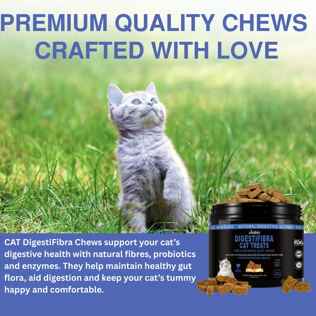 DigestiFibra Probiotics for Cats – Digestive Fibre Chews with Pumpkin & Prebiotics for Gut Health & Anal Gland Support | Vitabia UK