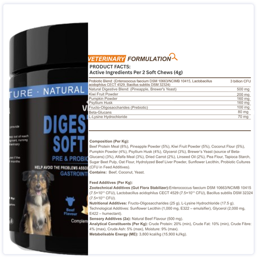 Fibre & Probiotic Chews for Dogs – Daily Digestive Support