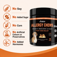 Dog Skin and Coat Support Chews – Omega 3 & Salmon Oil for Healthy Coat | Vitabia UK
