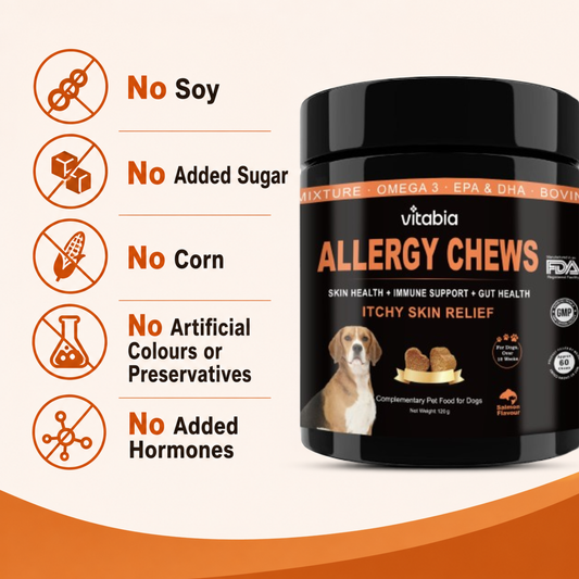 Dog Skin and Coat Support Chews – Omega 3 & Salmon Oil for Healthy Coat | Vitabia UK