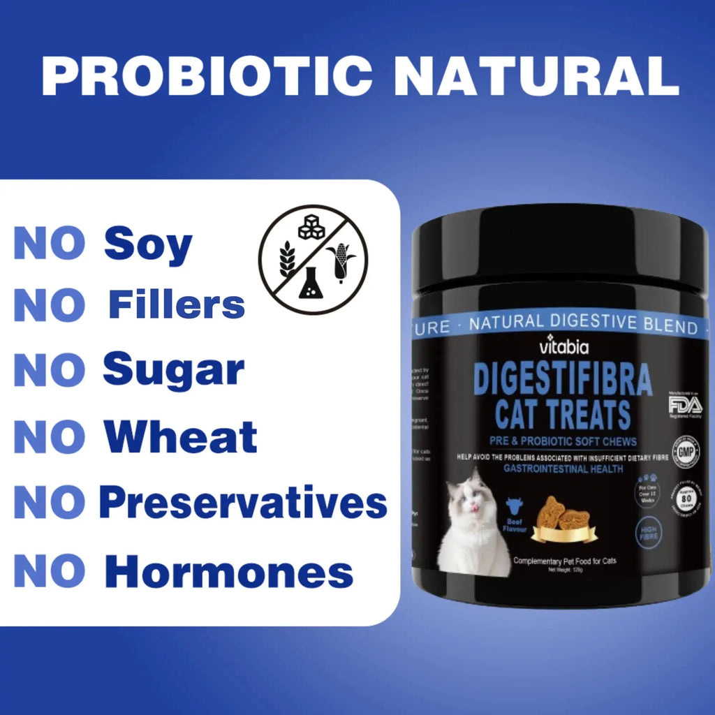 DigestiFibra Probiotics for Cats – Digestive Fibre Chews with Pumpkin & Prebiotics for Gut Health & Anal Gland Support | Vitabia UK