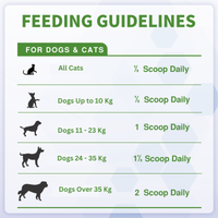 Probiotics Powder for Dogs & Cats – Daily Digestive Support