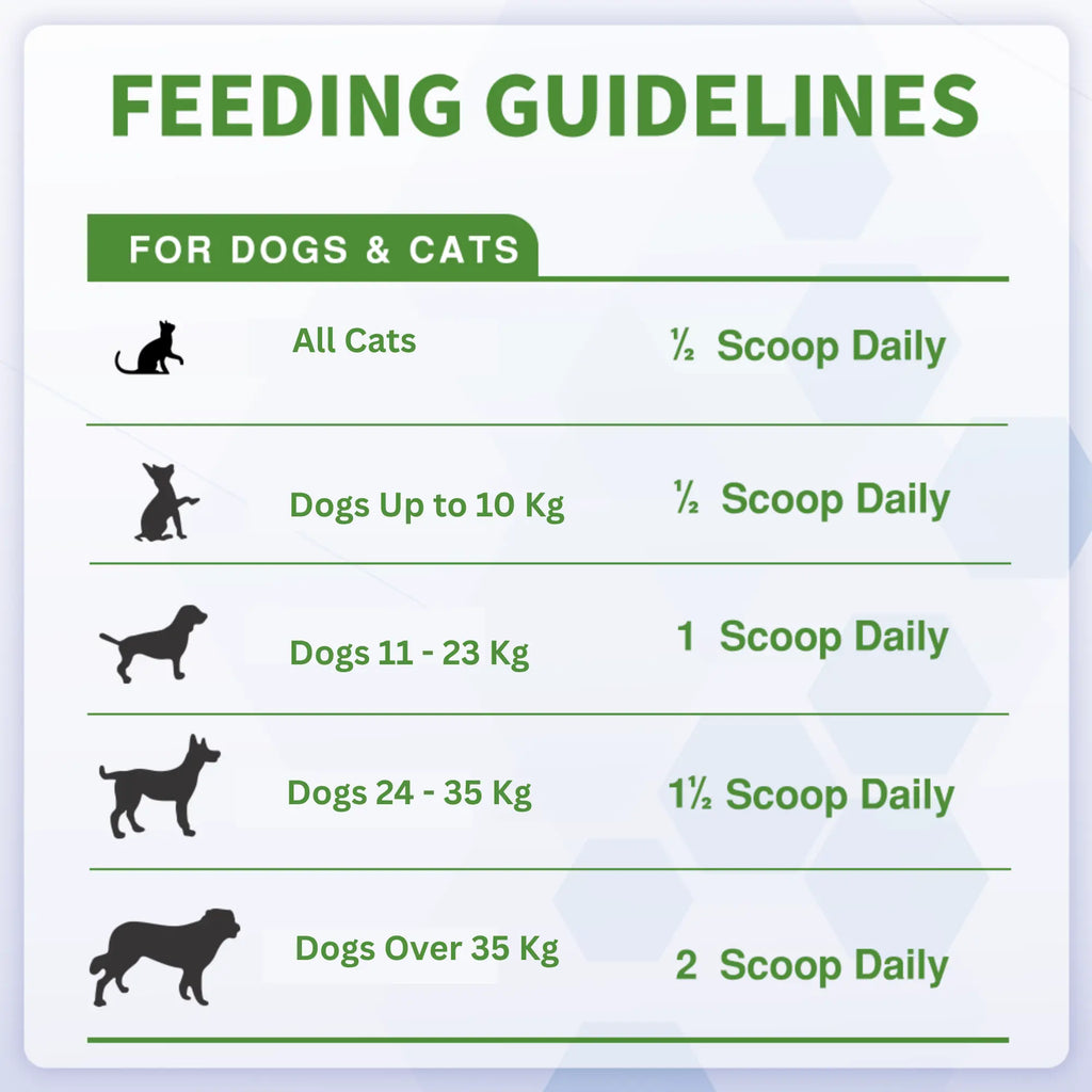 Probiotic Powder for Dogs and Cats – Digestive & Gut Health Support | Vitabia UK