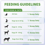 Probiotic Powder for Dogs and Cats – Digestive & Gut Health Support | Vitabia UK
