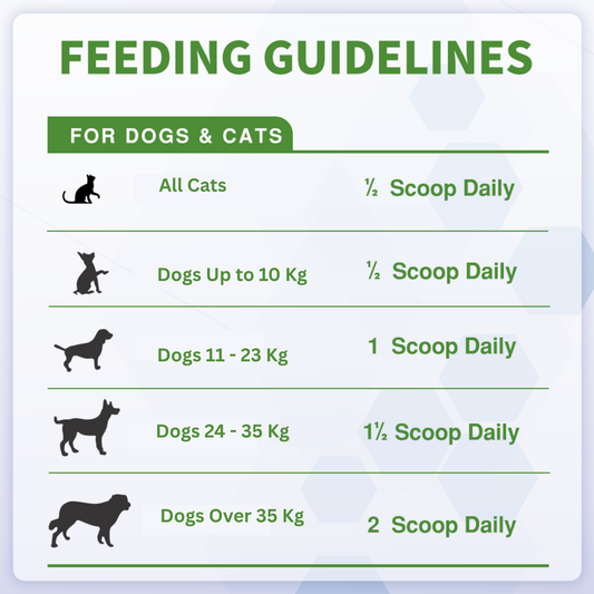 Probiotics Powder for Dogs & Cats – Daily Digestive Support