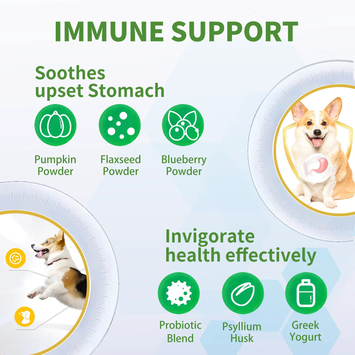 Probiotics for Dogs – Prebiotic Fibre Chews for Gut Health & Anal Gland Support | Vitabia UK