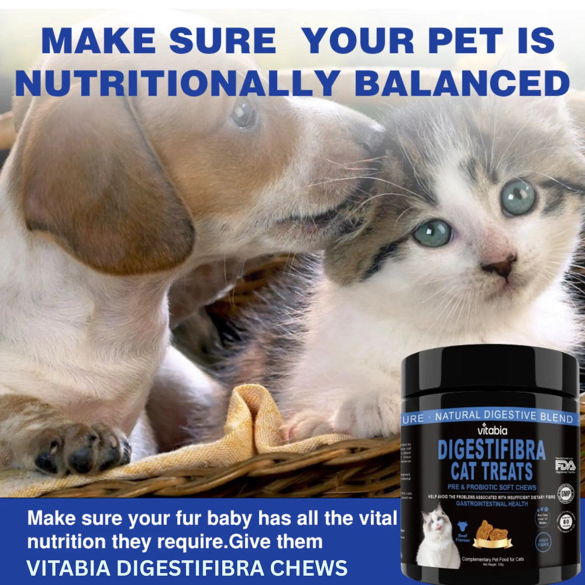 DigestiFibra Probiotics for Cats – Digestive Fibre Chews with Pumpkin & Prebiotics for Gut Health & Anal Gland Support | Vitabia UK