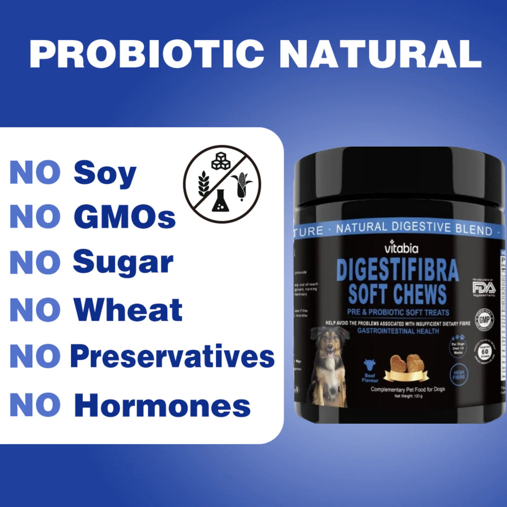 DigestiFibra Probiotic Fibre Chews for Dogs – Gut & Anal Gland Support | Vitabia UK