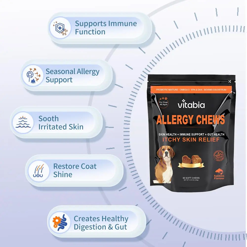 Hip and Joint Chews for Dogs – Mobility & Joint Support | Vitabia UK