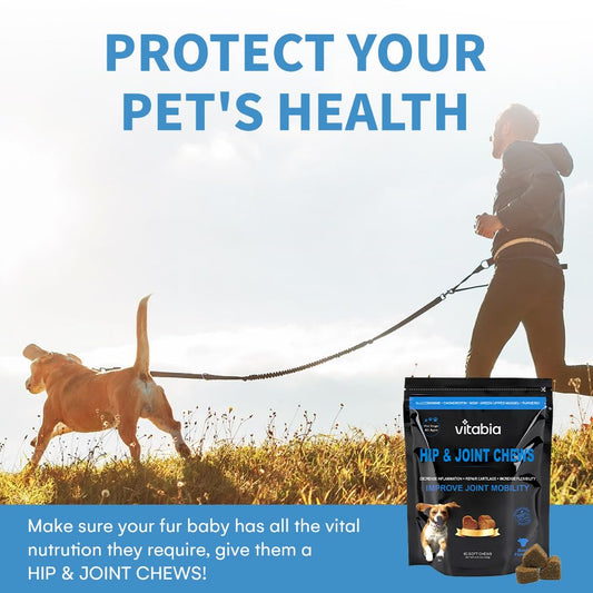 Hip & Joint Chews for Dogs – Joint Health & Mobility Support