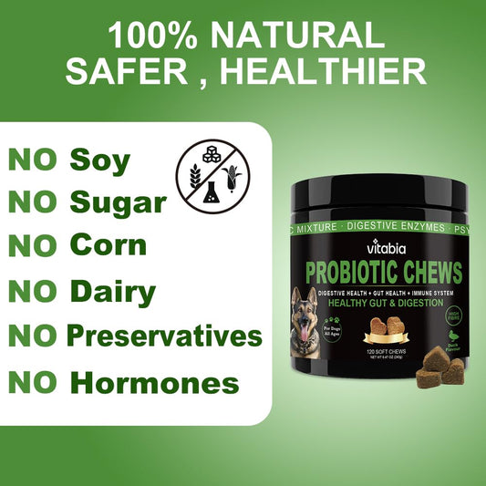 Probiotic Fibre Chews for Dogs – Gut & Anal Gland Support