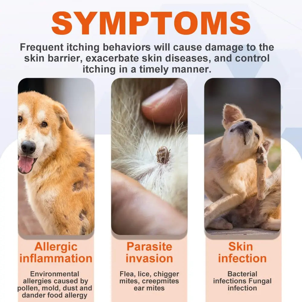Dog Skin and Coat Support Chews – Omega 3 & Salmon Oil for Healthy Coat | Vitabia UK