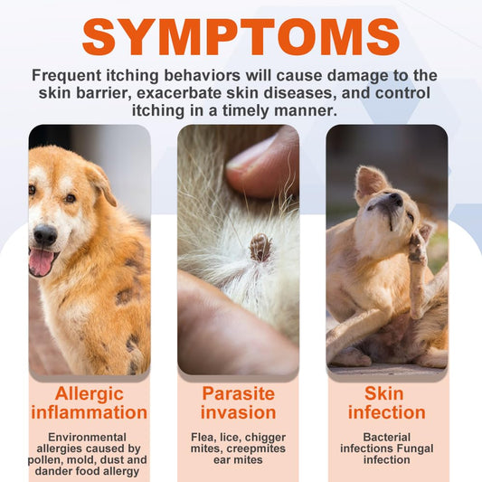 Dog Allergy Relief Chews – Itch & Skin Support Supplement