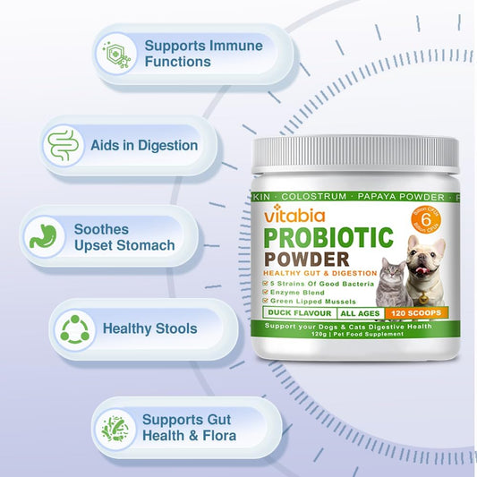 Probiotics Powder for Dogs & Cats