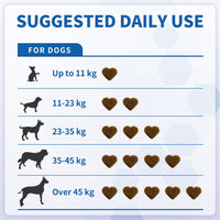 Hip & Joint Chews for Dogs – Joint Health & Mobility Support