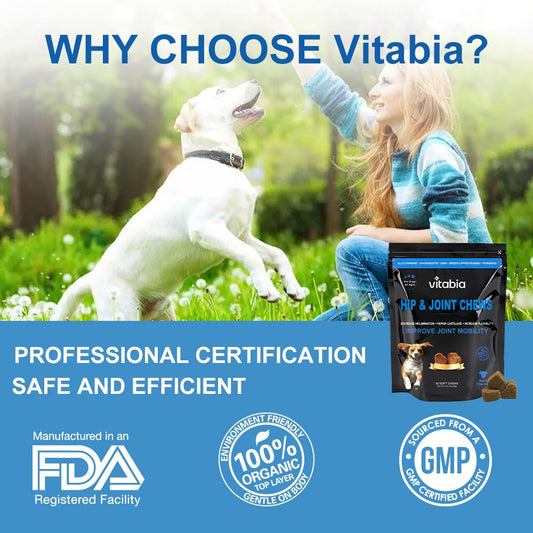 Hip & Joint Chews for Dogs – Joint Health & Mobility Support