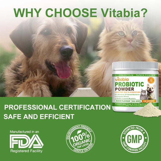 Probiotics Powder for Dogs & Cats