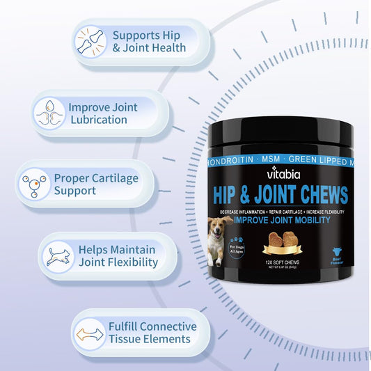 Hip & Joint Chews for Dogs – Joint Health & Mobility Support