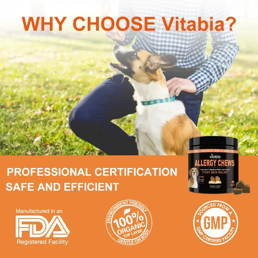 Hip and Joint Chews for Dogs – Mobility & Joint Support | Vitabia UK