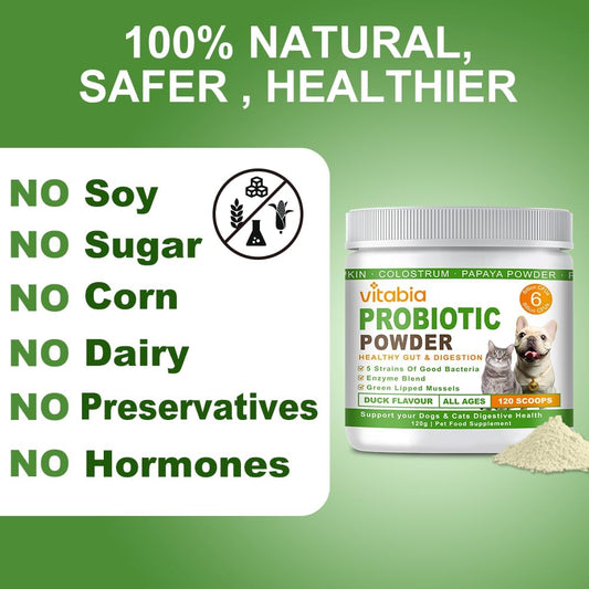 Probiotics Powder for Dogs & Cats