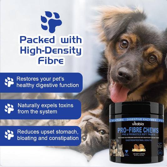 Fibre & Probiotic Chews for Dogs & Cats – Gut & Anal Gland Support