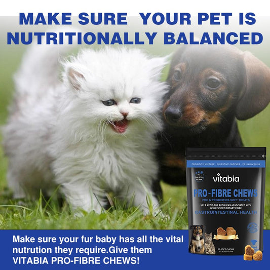 Pro Fibre Chews for Dogs & Cats – Natural Digestive Health Treats