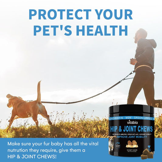 Hip & Joint Chews for Dogs – Joint Health & Mobility Support