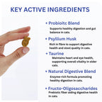 DigestiFibra Probiotics for Cats – Digestive Fibre Chews with Pumpkin & Prebiotics for Gut Health & Anal Gland Support | Vitabia UK