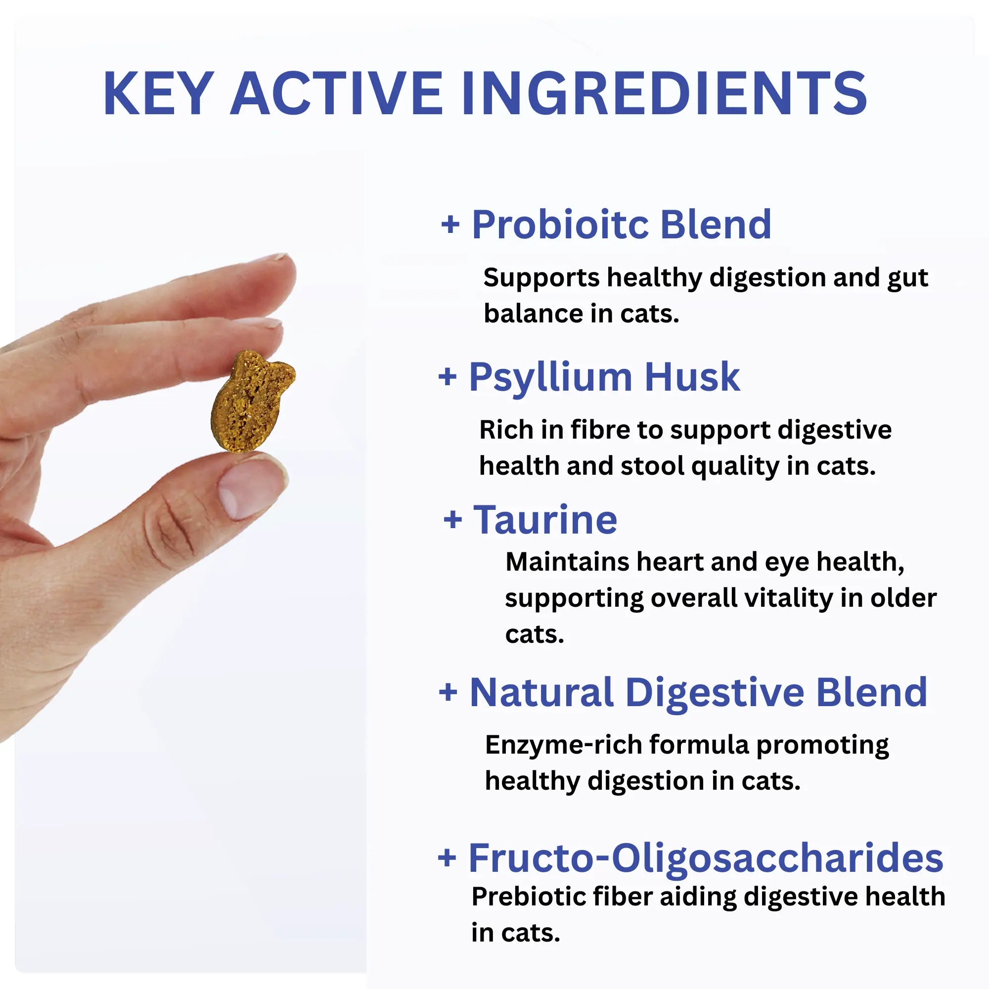 DigestiFibra Probiotics for Cats – Digestive Fibre Chews with Pumpkin & Prebiotics for Gut Health & Anal Gland Support | Vitabia UK