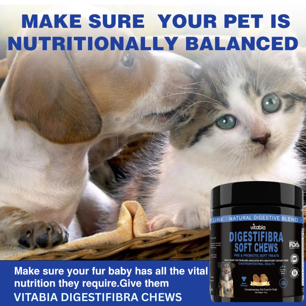 DigestiFibra Probiotic Fibre Chews for Dogs – Gut & Anal Gland Support | Vitabia UK