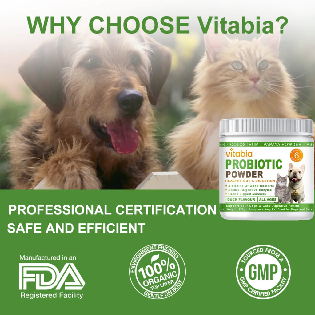 Probiotic Powder for Dogs and Cats – Digestive & Gut Health Support | Vitabia UK