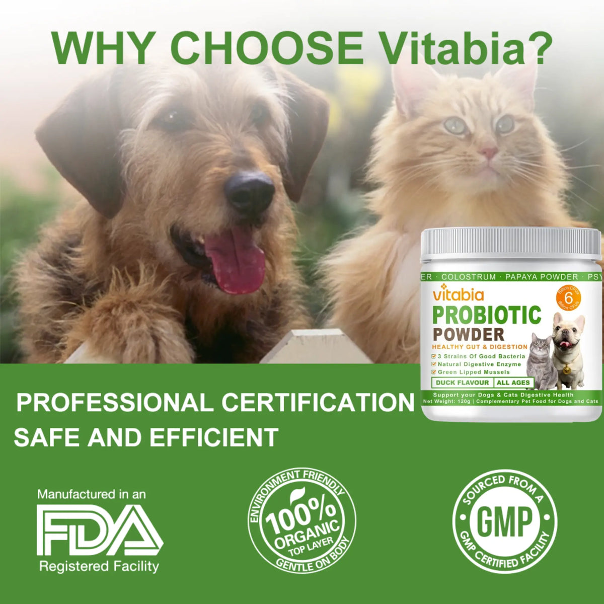 Probiotic Powder for Dogs and Cats – Digestive & Gut Health Support | Vitabia UK