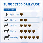Hip and Joint Chews for Dogs – Mobility & Joint Support | Vitabia UK