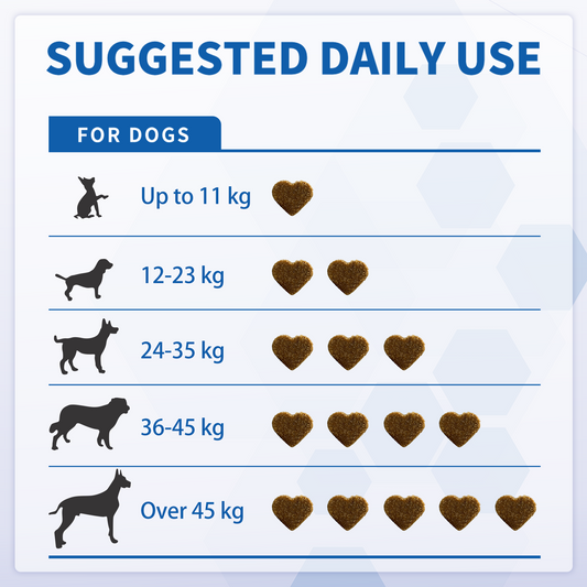 Hip & Joint Chews for Dogs