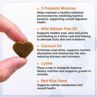 Wild Salmon Oil Dog Chews – Skin, Coat & Digestive Support