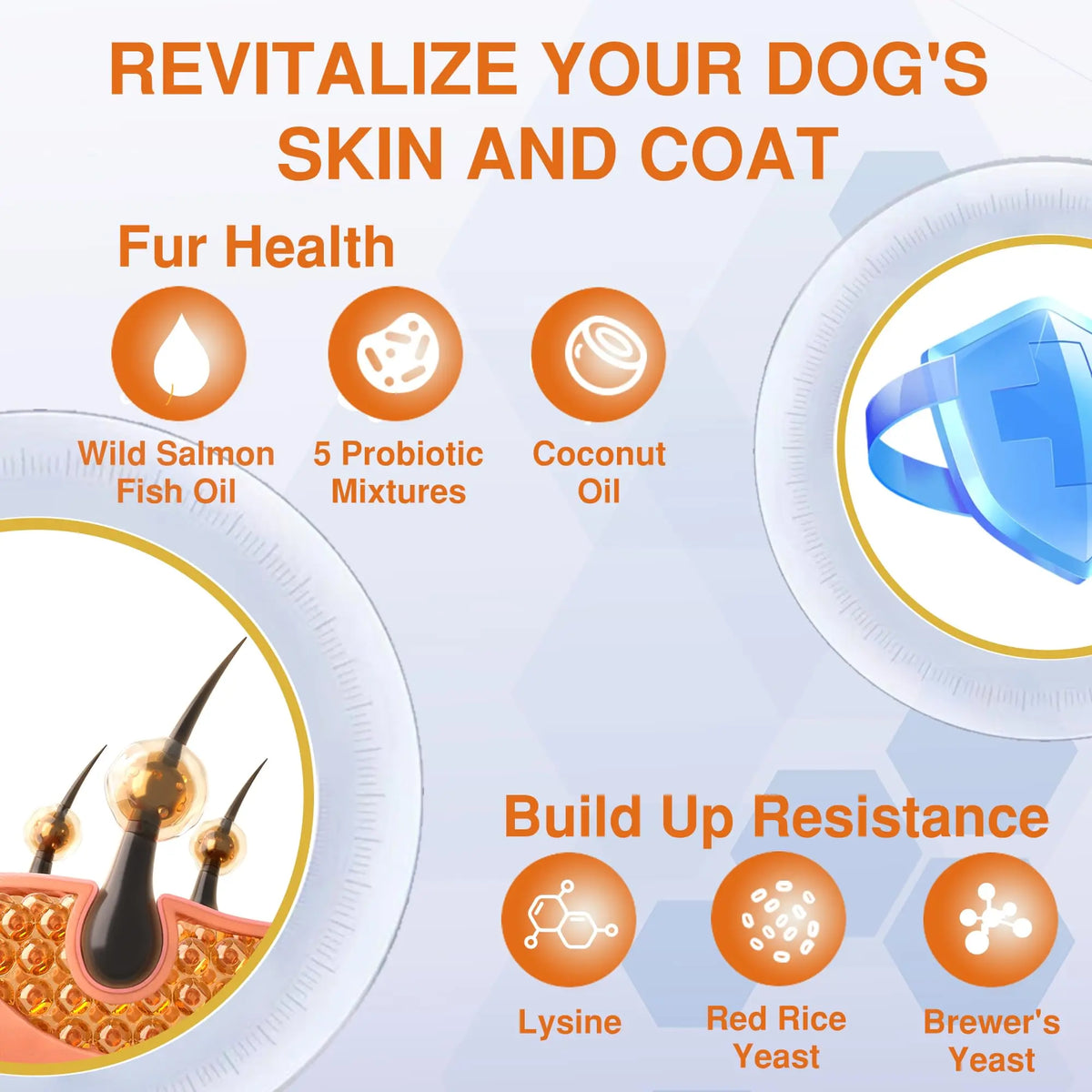Salmon Oil for Dogs – Wild Omega 3 Skin & Coat Chews | Vitabia UK