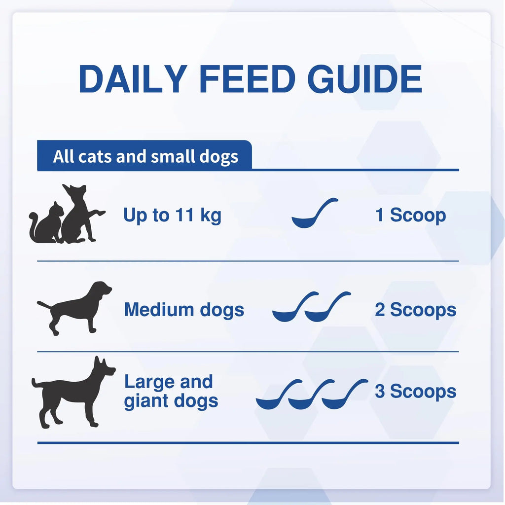 Plaque Off Powder for Dogs & Cats – Dental Care Support with Seaweed, Kelp & Probiotics | Vitabia UK