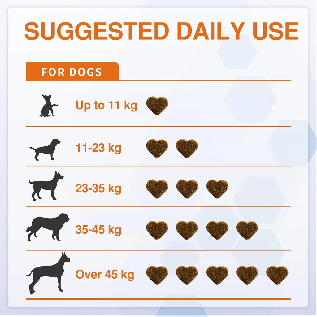 Salmon Oil for Dogs – Wild Omega 3 Skin & Coat Chews | Vitabia UK