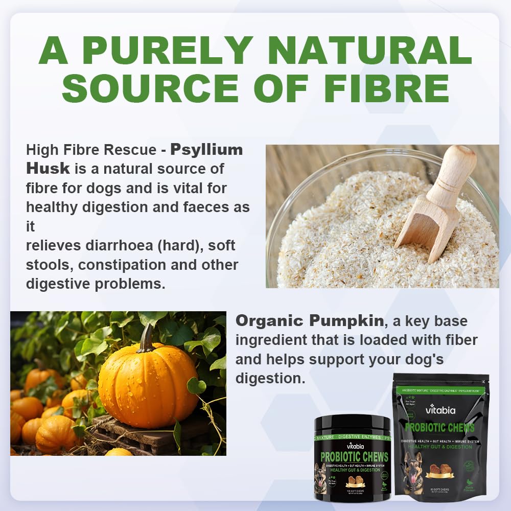 Probiotic Fibre Chews for Dogs – Gut & Anal Gland Support