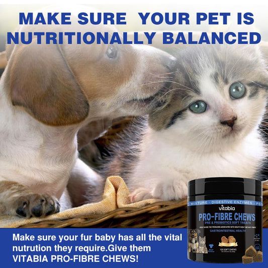 Fibre & Probiotic Chews for Dogs & Cats – Gut & Anal Gland Support