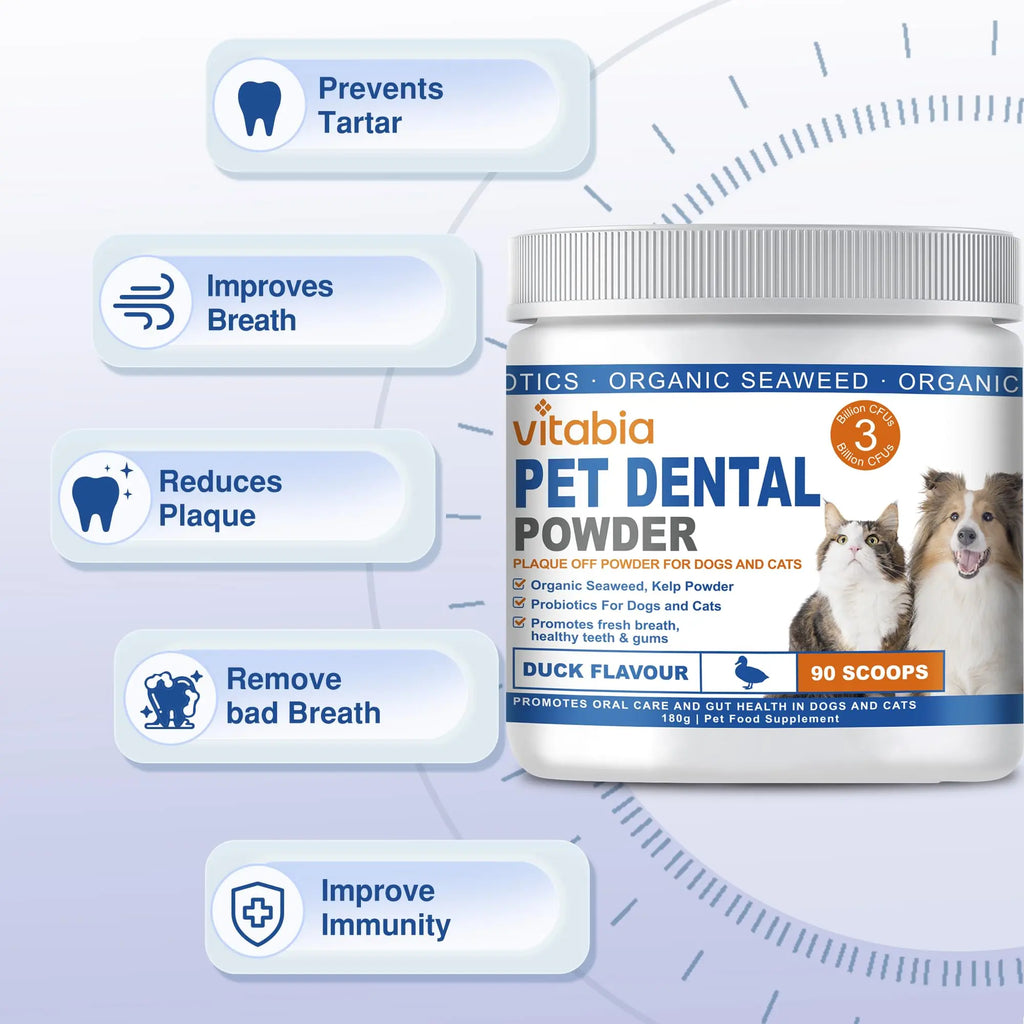 Plaque Off Powder for Dogs & Cats – Dental Care Support with Seaweed, Kelp & Probiotics | Vitabia UK