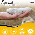 Dog and Cat Paw Balm – Natural Paw & Nose Care with Shea Butter | Vitabia UK