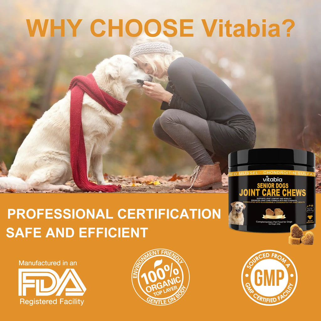 Senior Dog Joint Supplements – Glucosamine, Chondroitin, MSM & Omega 3 for Mobility & Joint Health | Vitabia UK